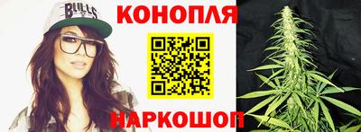 трава Пугачёв