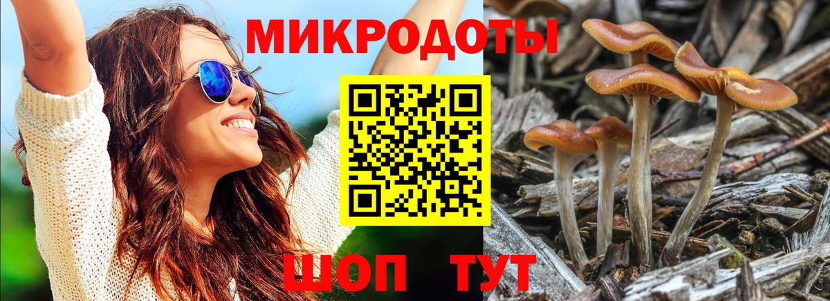 Галлюциногенные грибы GOLDEN TEACHER Ачхой-Мартан
