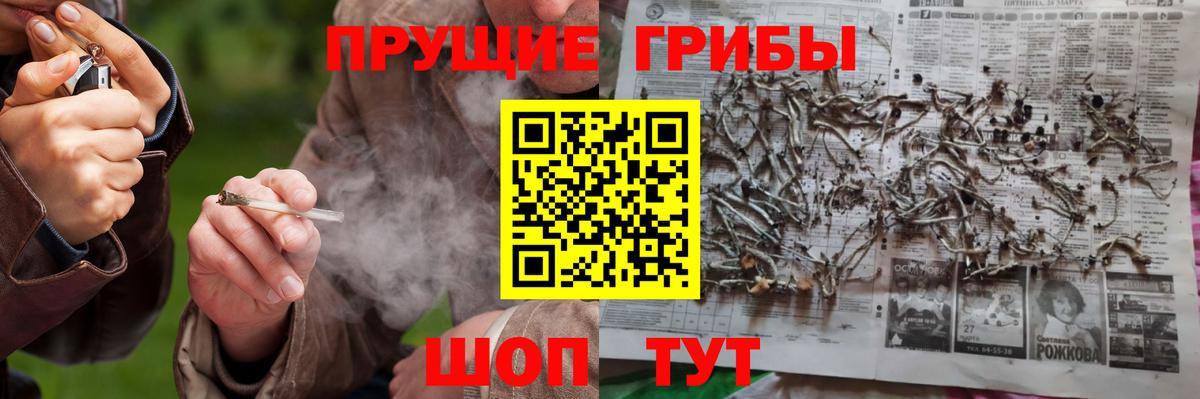 Галлюциногенные грибы Psilocybe  цены наркотик  Ачхой-Мартан  Вход с VPN 