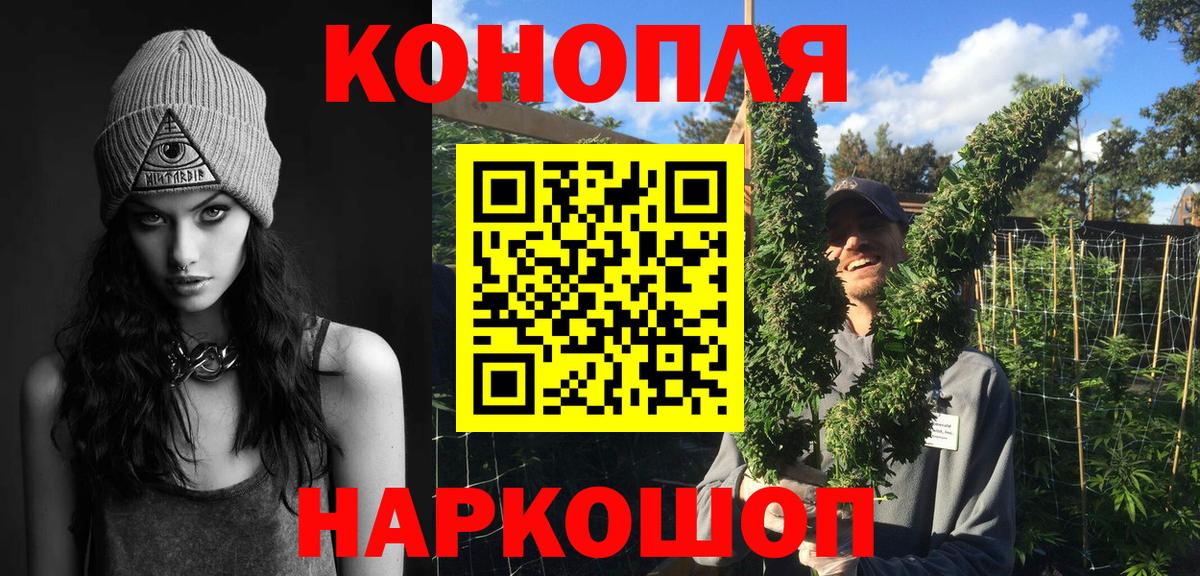 Бошки Шишки план Ачхой-Мартан